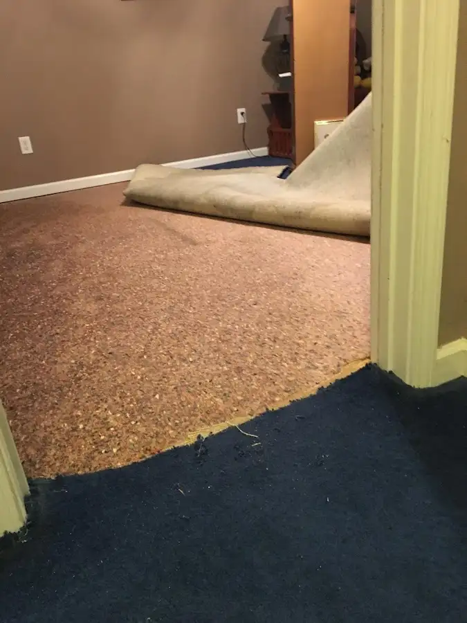 Carpet pad removal revealing water damage during Drying & Dehumidification in Riverhead