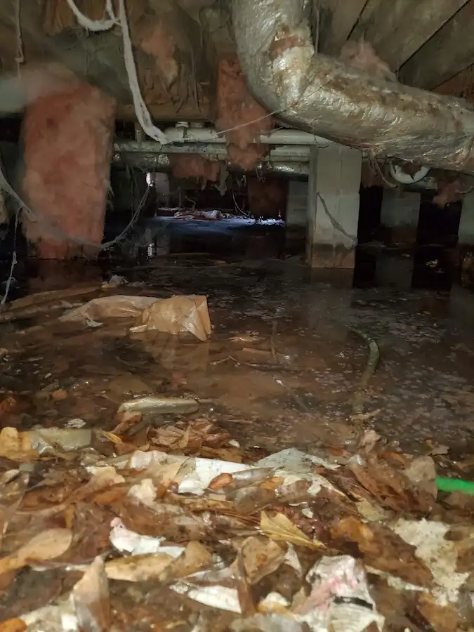 Crawl space flood assessment for Commercial Water Damage Restoration in Riverhead